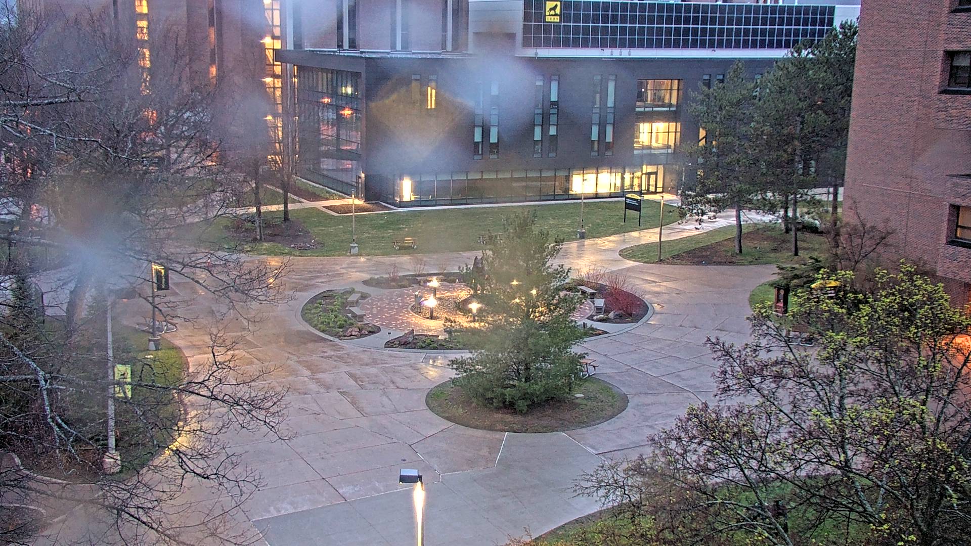 View of the center of the campus mall from Rekhi Hall.